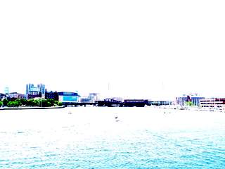 100_0126.JPG